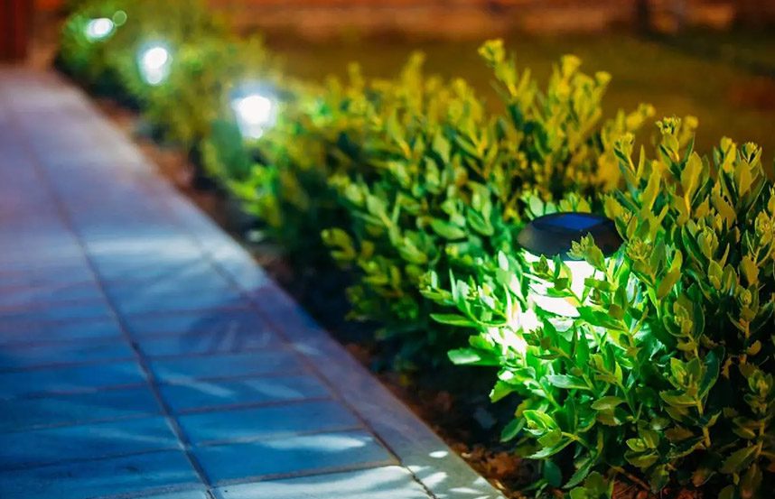 A garden with bushes and lights on the side of it